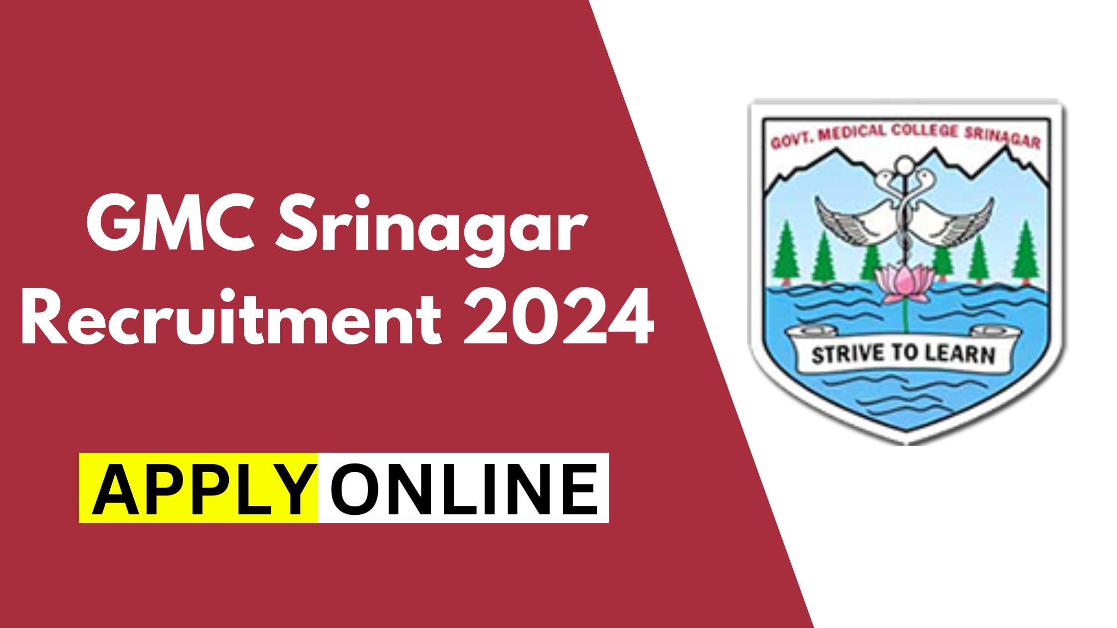 GMC Srinagar Recruitment 2024